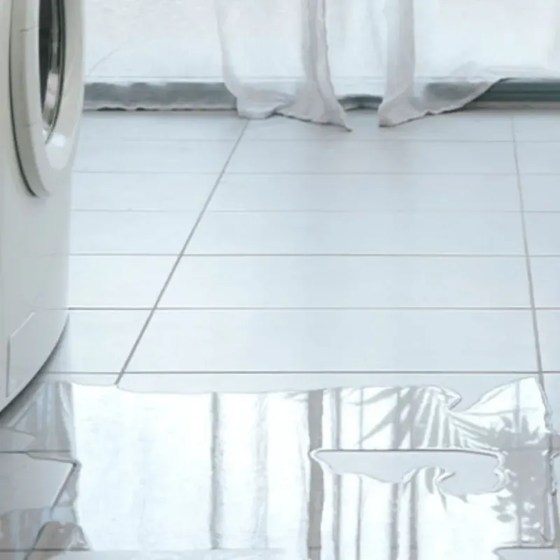 Appliance Leak Cleanup in Sandwich, IL