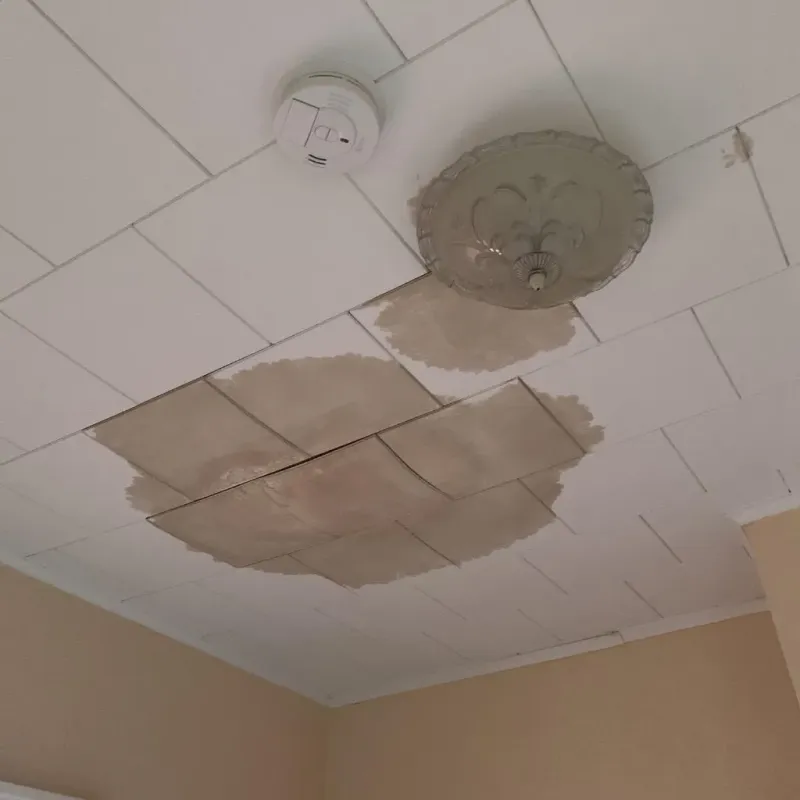 Ceiling Water Damage Repair in Sandwich, IL