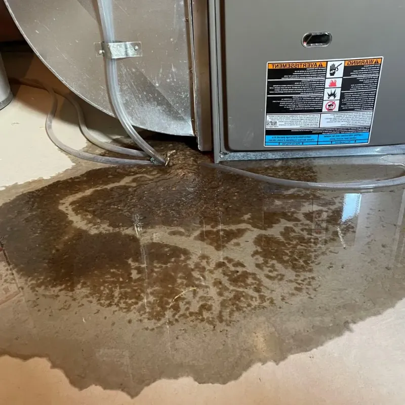 Pipe Burst and Leak Restoration in Sandwich, IL