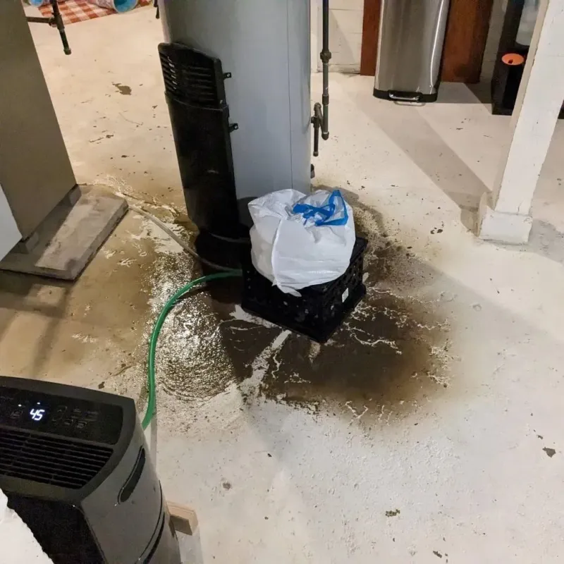 Sewage Backup Cleanup Service in Sandwich, IL